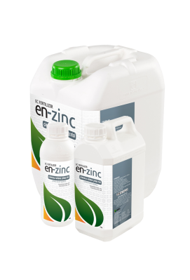 enzincpng-en-zinc-300505501.png